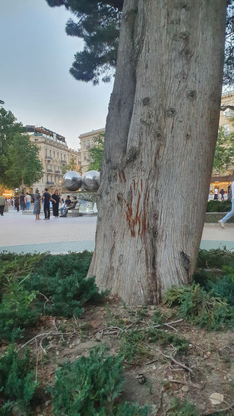 Bakıda “şir kükrəməsi” sakinlərin marağına səbəb olub (FOTO)