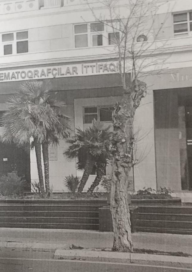 Nəsimi bələdiyyəsinin rəhbərliyi 5000 manat cərimələndi (FOTO)