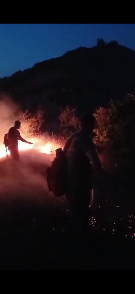 Siyəzən və Şabranda dağlıq-meşəlik sahələrdəki yanğınlar tam söndürüldü (VİDEO/FOTO)