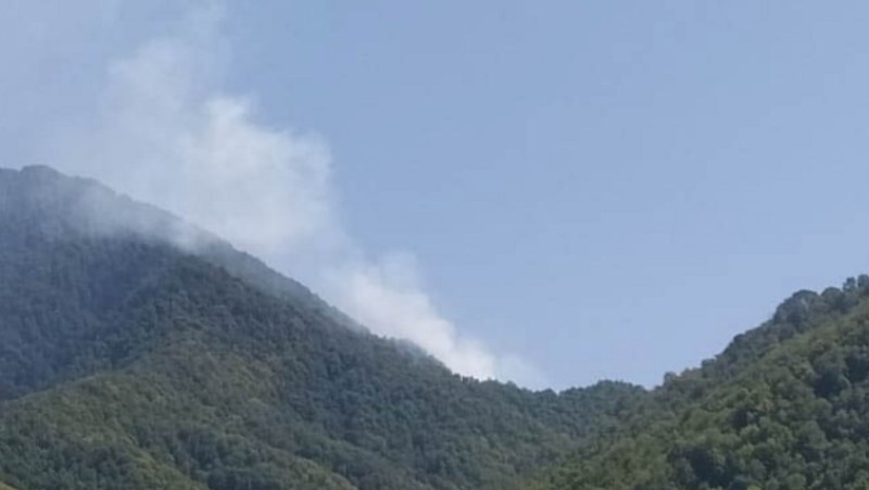 Oğuzda meşə yanır (FOTO)