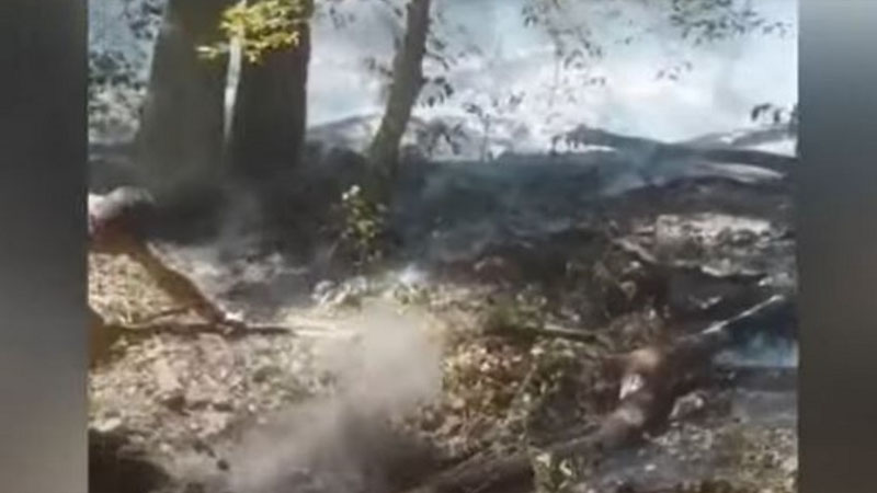 Oğuzda dağlıq ərazidə yanğın başladı