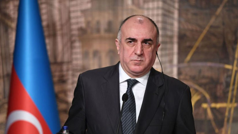 Elmar Məmmədyarov: “Yaxşı, gəlin, “Total”ı ölkədən qovaq, sonra nə?”