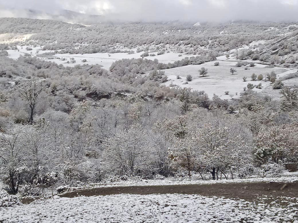 Milli Parklar qar örtüyünə büründü(FOTO)