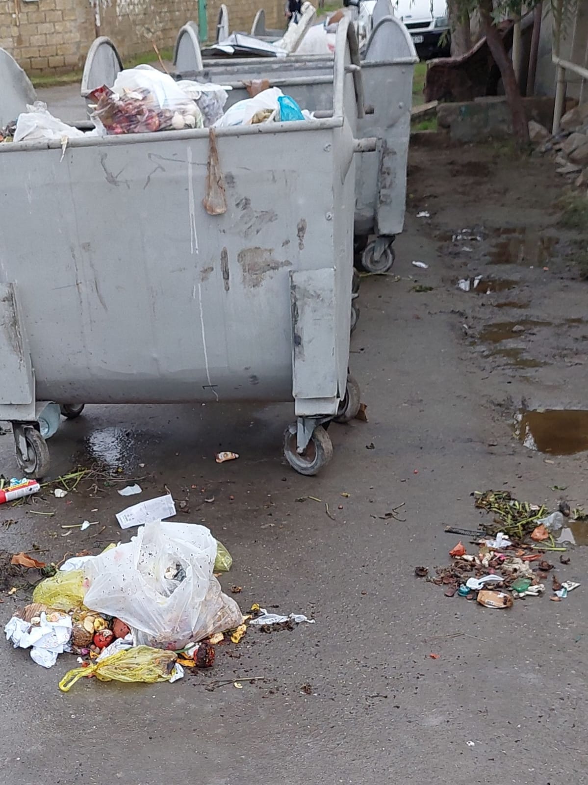 Coratda problem davam edir: İcra Hakimiyyəti sakinlərin şikayətinə baxmır (FOTO/VİDEO)