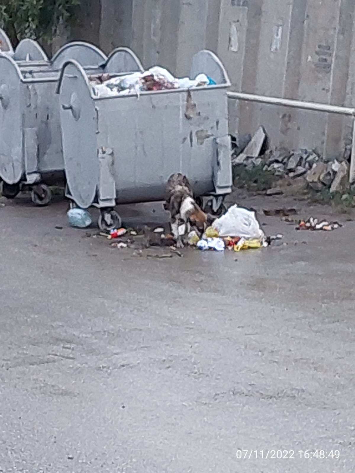 Coratda problem davam edir: İcra Hakimiyyəti sakinlərin şikayətinə baxmır (FOTO/VİDEO)