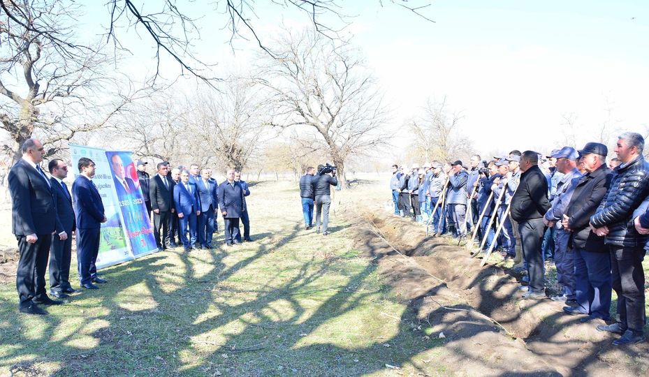 Ağstafada Heydər Əliyevin 100 illik yubileyi ilə əlaqədar ağacəkmə aksiyası keçirildi (FOTOLAR)