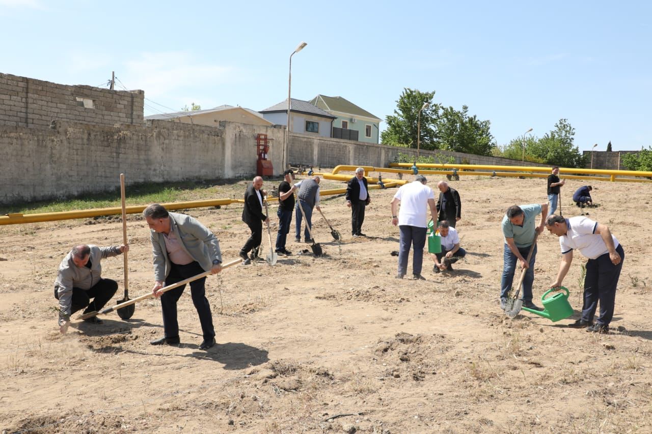 Heydər Əliyevin 100 illiyinə həsr olunan ağacəkmə aksiyası keçirildi