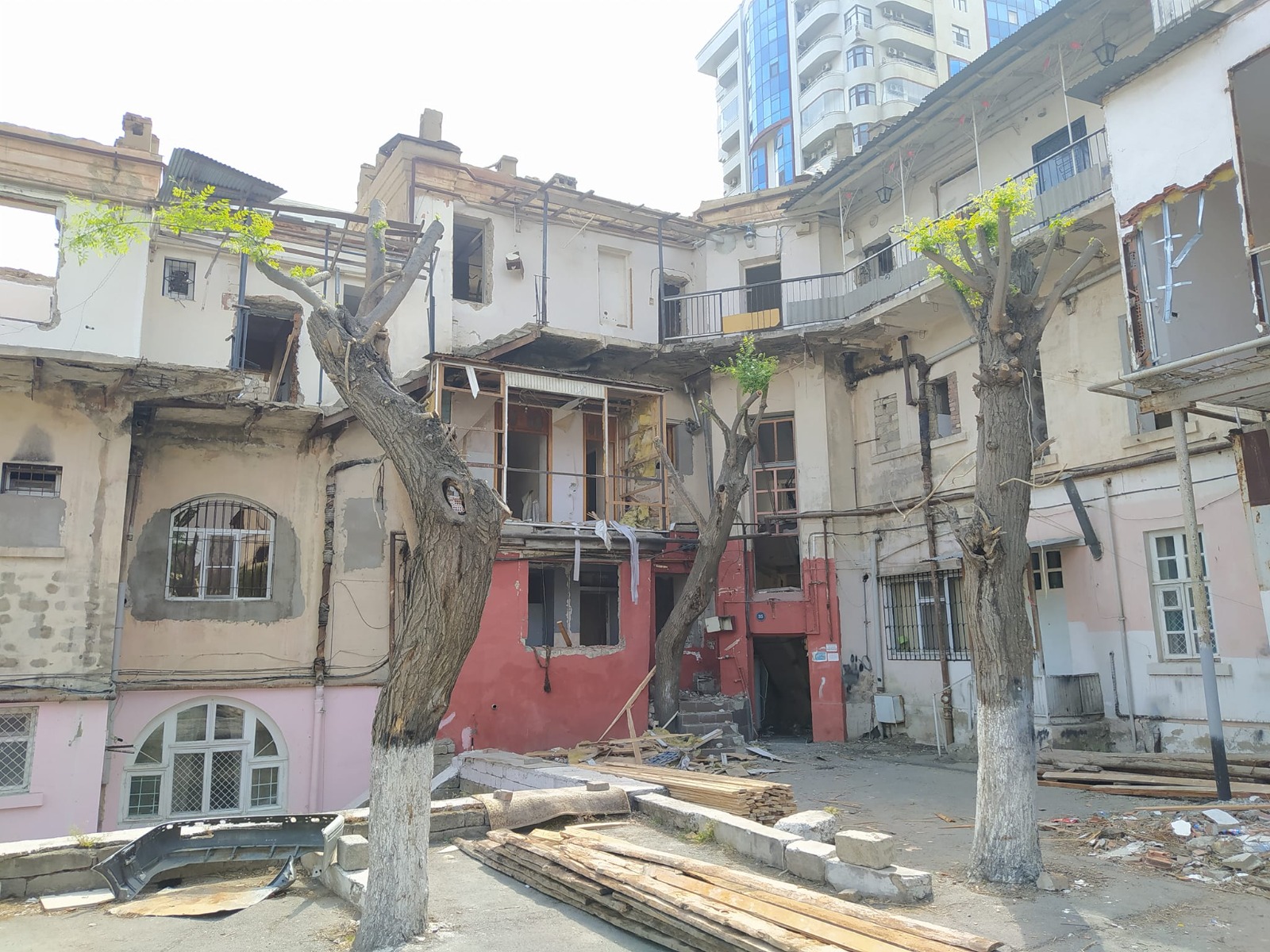 Nəsimidə "yaşıl soyqırım": "İnvest.M Construction" yaşıllıq yoxdur deyir, ağaclar məhv edilir (FOTOLAR)