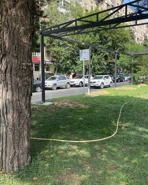 Paytaxtda yaşıllıq ərazi zəbt edilərək yerinə kafe tikilir? (FOTO)