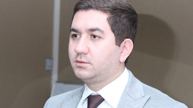 Elvin Mahmudzadə azadlığa buraxıldı