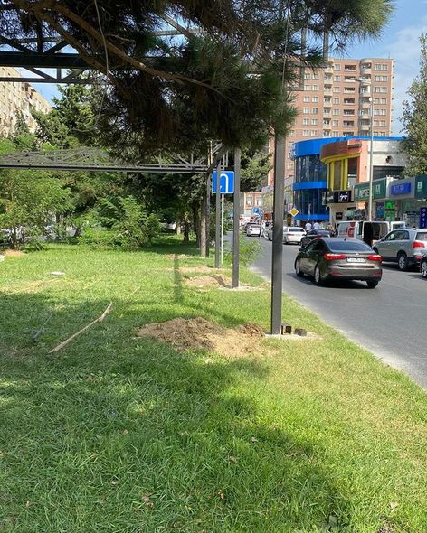 Paytaxtda yaşıllıq ərazi zəbt edilərək yerinə kafe tikilir? (FOTO)