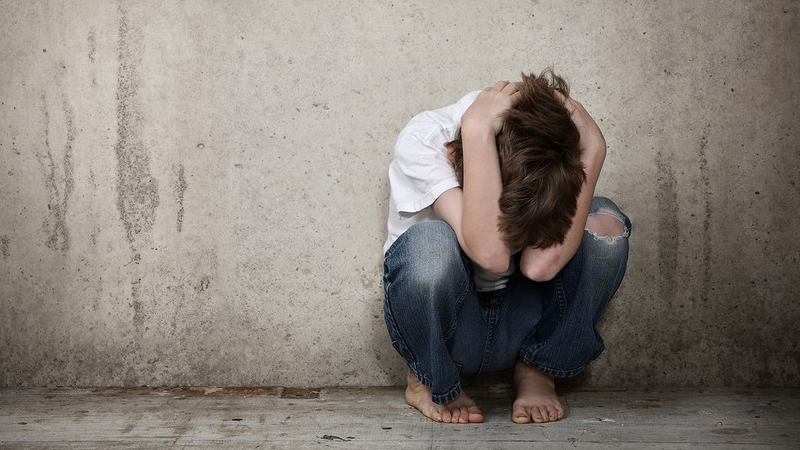 Naxçıvanda uşaq oğruları peyda olub? - Rəsmi açıqlama