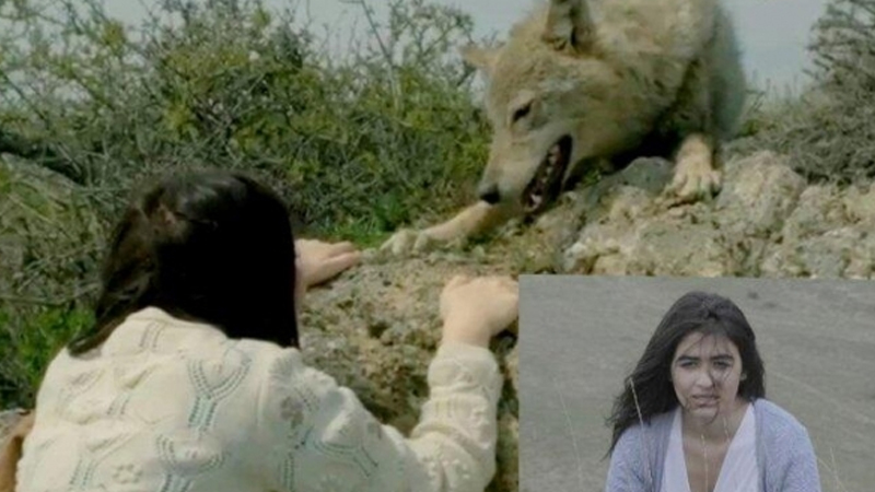 Azərbaycanda film çəkilişində qorxunc hadisə: Canavar aktrisaya hücum etdi (FOTO)