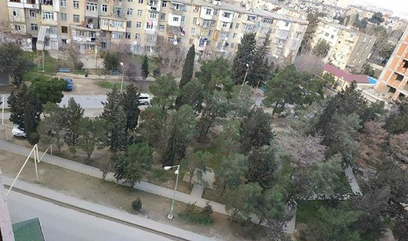 Bakıda parkda yaşıllıqları qurudub restoran tikmək istədilər (FOTO/VİDEO)