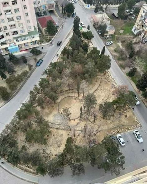 Bakıda parkda yaşıllıqları qurudub restoran tikmək istədilər (FOTO/VİDEO)