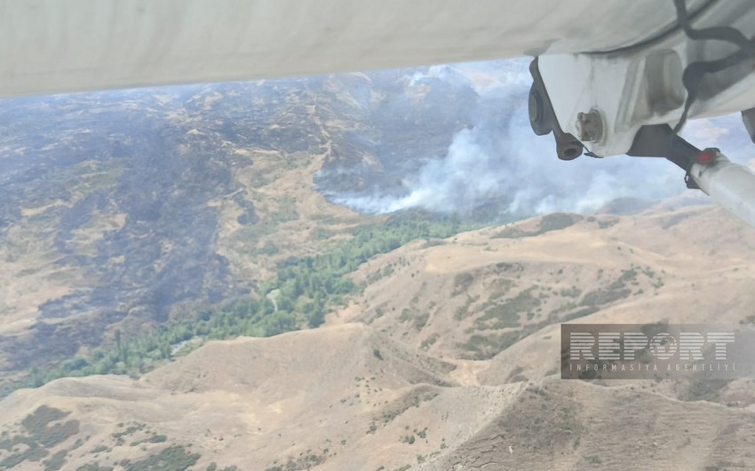 Talış və Tapqaraqoyunlu kəndləri istiqamətində yanğınlar meşəlik əraziyə keçdi (FOTO/YENİLƏNİB)