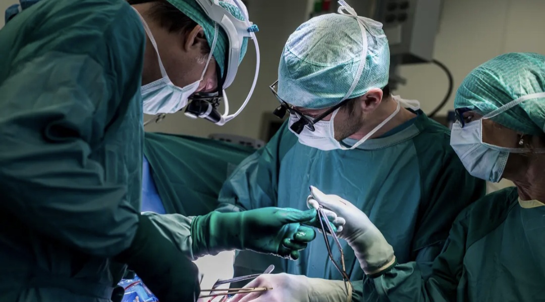 Alimlər reanimasiyasız şəkildə donor ürəyini 