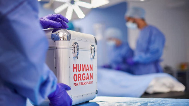 Azərbaycanda orqan köçürülməsi üçün 910 nəfər növbə gözləyir