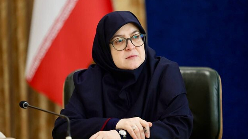 İran mediasında Zəngəzur dəhlizi göstərildiyi kimi qəribə deyil - Hökumət sözçüsü