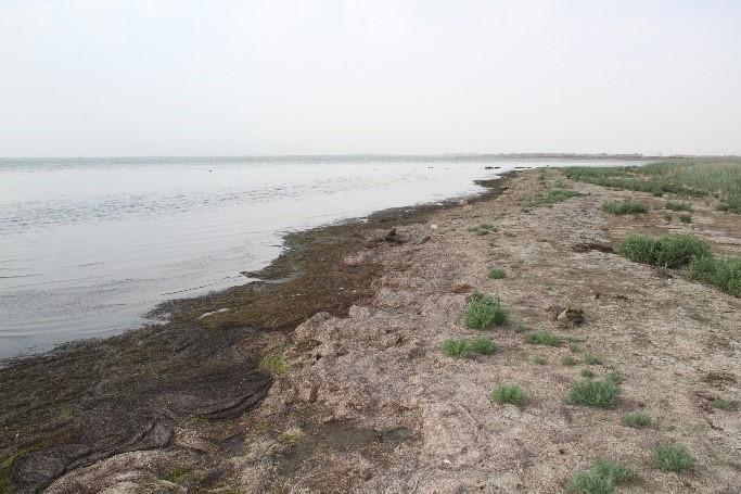 Azərbaycanın bu ərazisində dəniz 2 km geri çəkilib (FOTO)