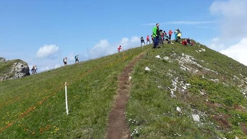 İtaliyada qalmaqal: Fermerlər Alp dağlarında turistlərdən pul tələb edir