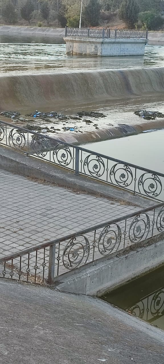Bərdənin mərkəzi parkında antisanitariya: Üfunət iyi gəlir (FOTO/VİDEO)