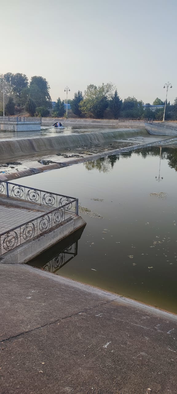 Bərdənin mərkəzi parkında antisanitariya: Üfunət iyi gəlir (FOTO/VİDEO)