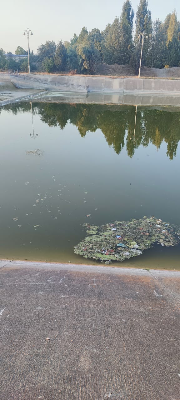 Bərdənin mərkəzi parkında antisanitariya: Üfunət iyi gəlir (FOTO/VİDEO)