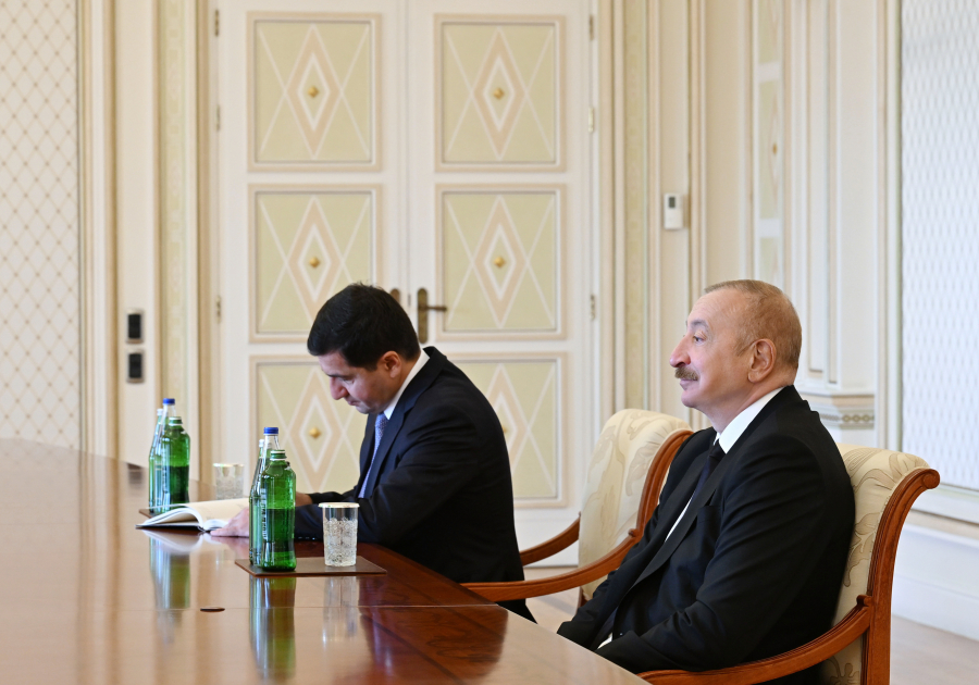 Prezident Maqdalena Qrononu qəbul etdi (FOTO)