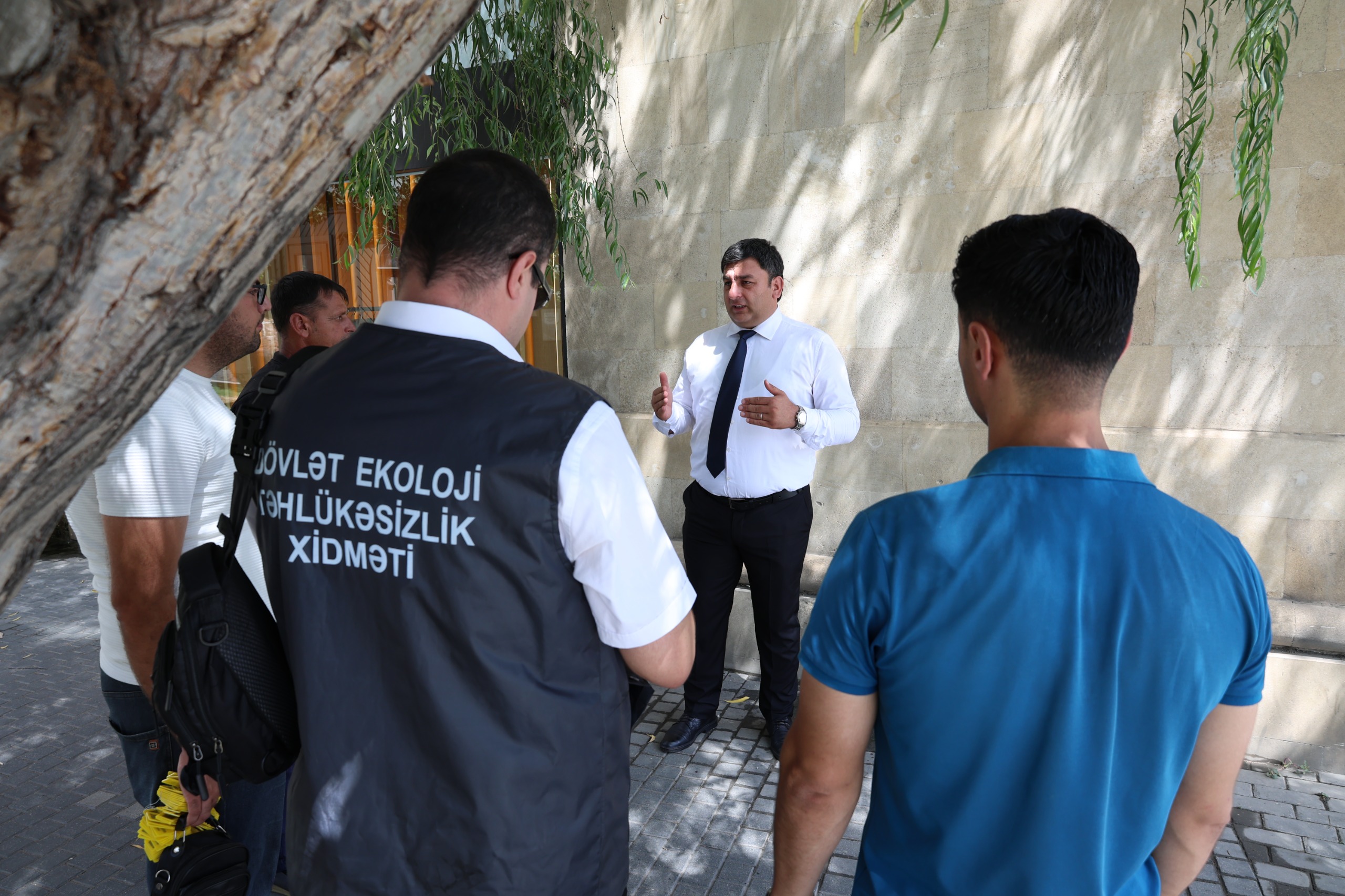 İçərişəhərdəki ağaclar nömrələnir (FOTO)