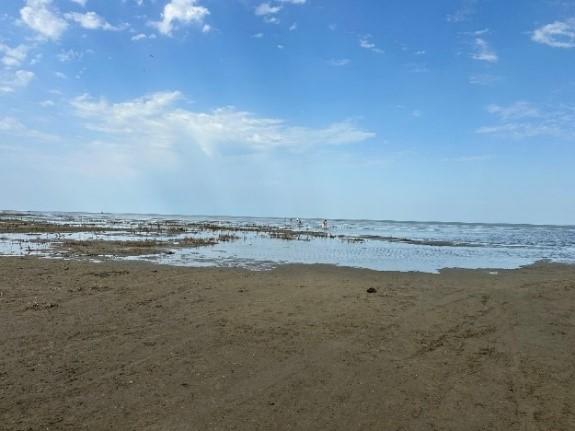 Azərbaycanın bu ərazisində dəniz 2 km geri çəkilib (FOTO)