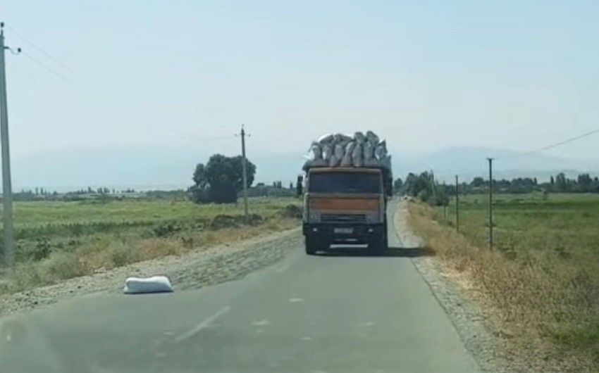 Yola günəbaxan tumları yığdı, məsuliyyətə cəlb edildi (FOTO)