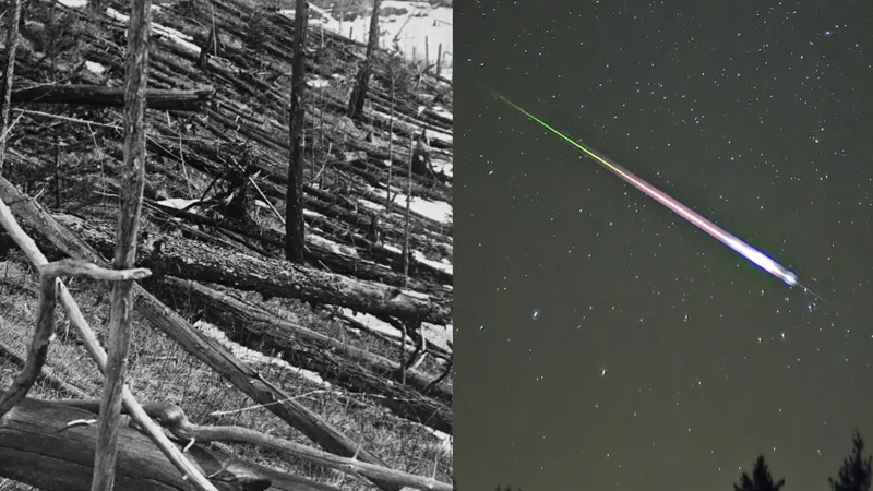 Tunquska fəlakəti: Asteroid Rusiyada 80 milyon ağacı necə məhv etdi?
