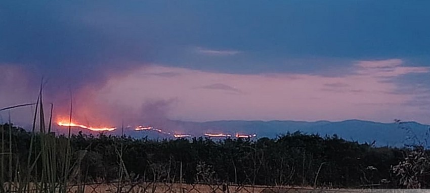 Ağdərədə baş verən meşə yanğını küləyin təsirilə Ağdama yayıldı