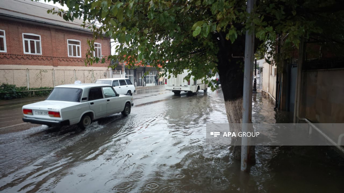 Lənkəranda sel suları həyətlərə doldu (FOTO)