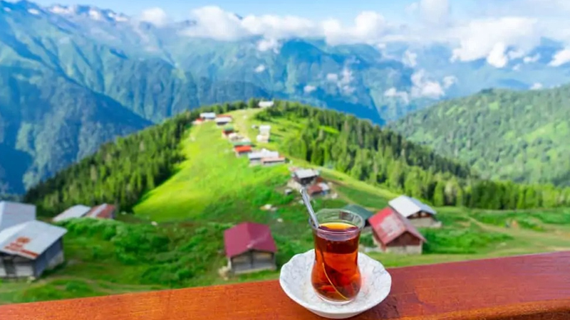 Türkiyənin payız möcüzələri: Bu əraziləri mütləq ziyarət edin (FOTO)
