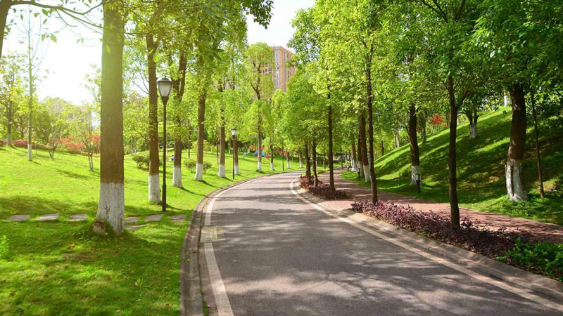 Laçın və Qubadlıda 40 min hektar ərazidə park salınacaq