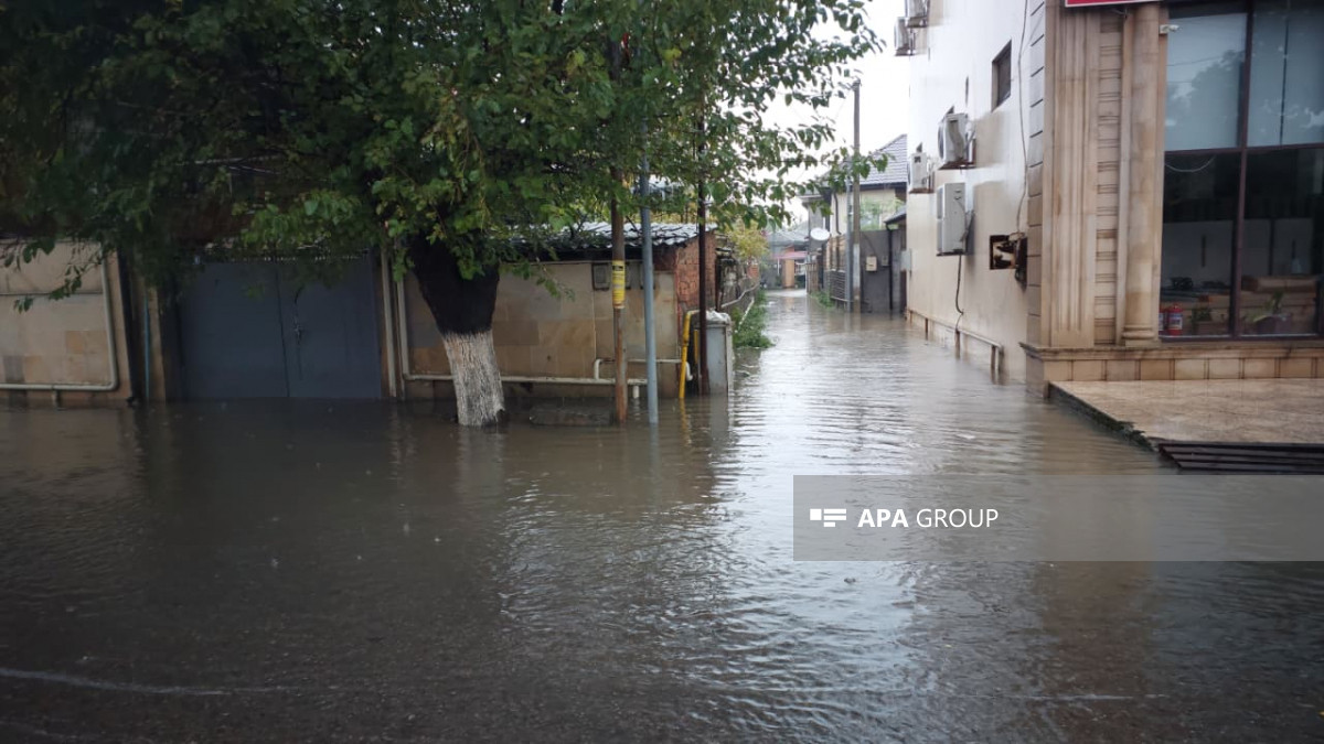 Lənkəranda sel suları həyətlərə doldu (FOTO)