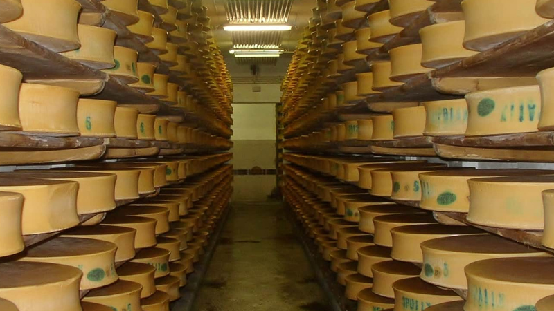 ABŞ yerin altında 600 milyon kq-dan çox pendir saxlayır: Səbəb nədir?