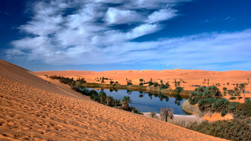 Sahara əsrin sonunda yaşıllaşacaq: Afrikada 