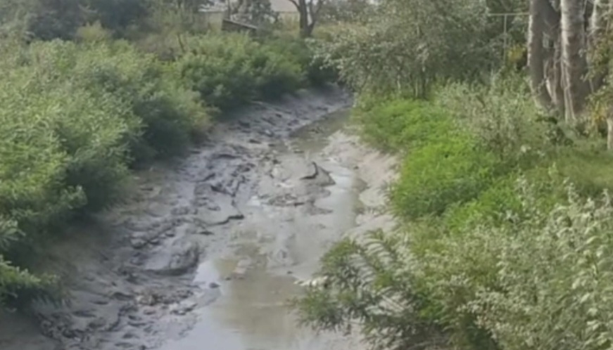 Ekoloji fəlakət: 