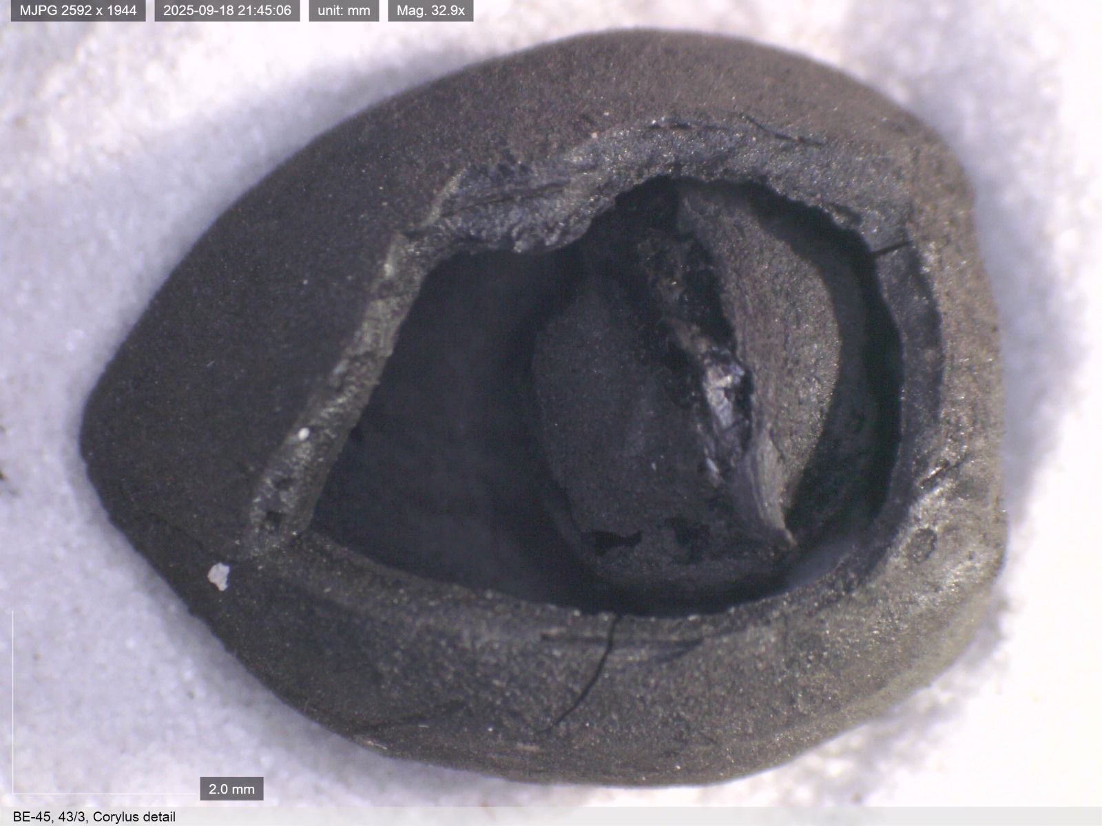 Qədimdən bu günə qədər gələn Türkiyə çörək irsi (FOTO)