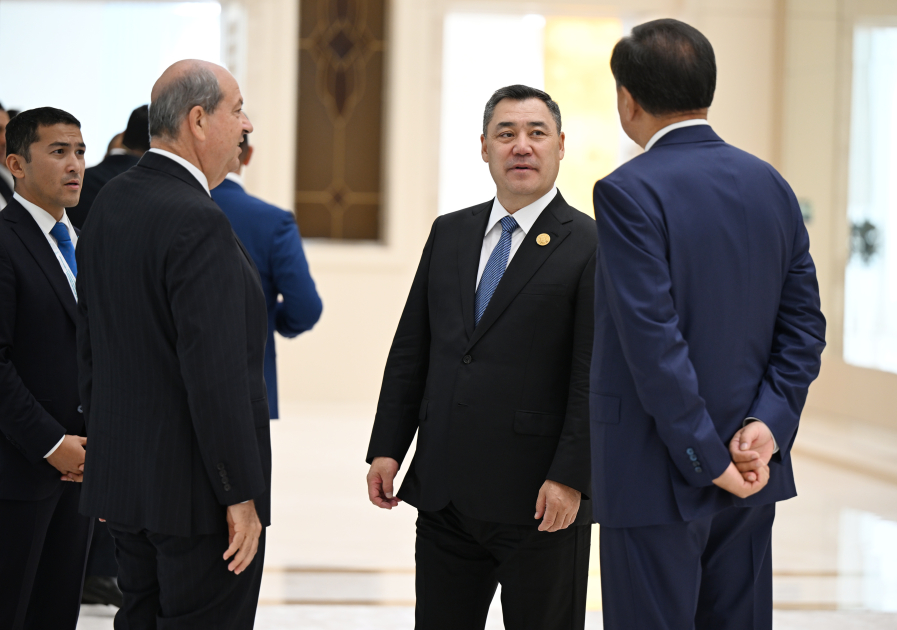 Prezident TDT Dövlət Başçıları Şurasının Zirvə Görüşündə çıxış etdi (YENİLƏNİB)