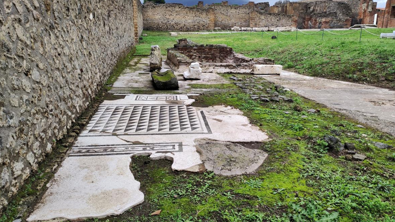 Alimlərdən Pompeylə bağlı sensasion kəşf