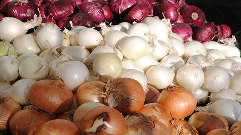 Soğan niyə ucuzdur və bu, nə qədər belə davam edəcək? - Ekspert