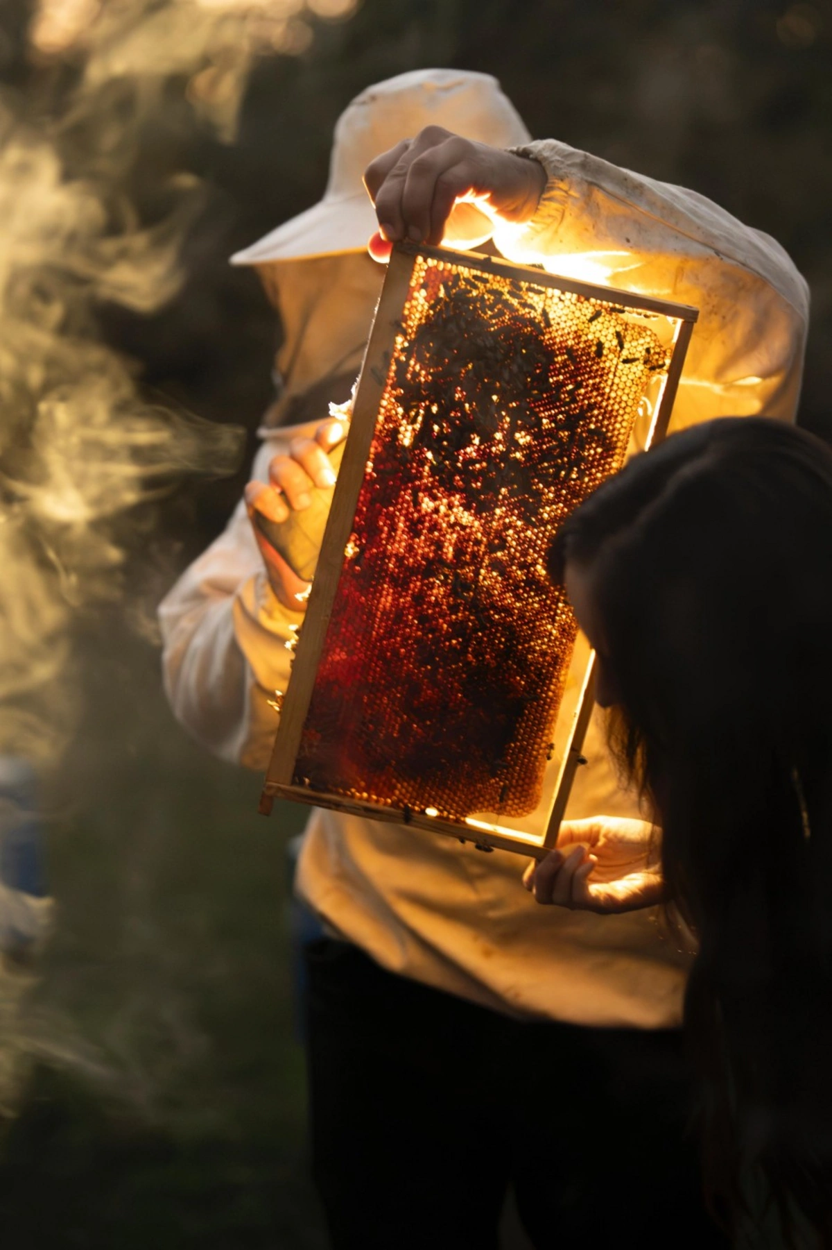 Leyla Əliyeva Qəbələdə 