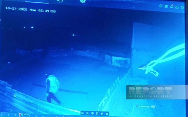 Göygöldə maskalı şəxslər fermadan 62 baş xırdabuynuzlu heyvan oğurladı