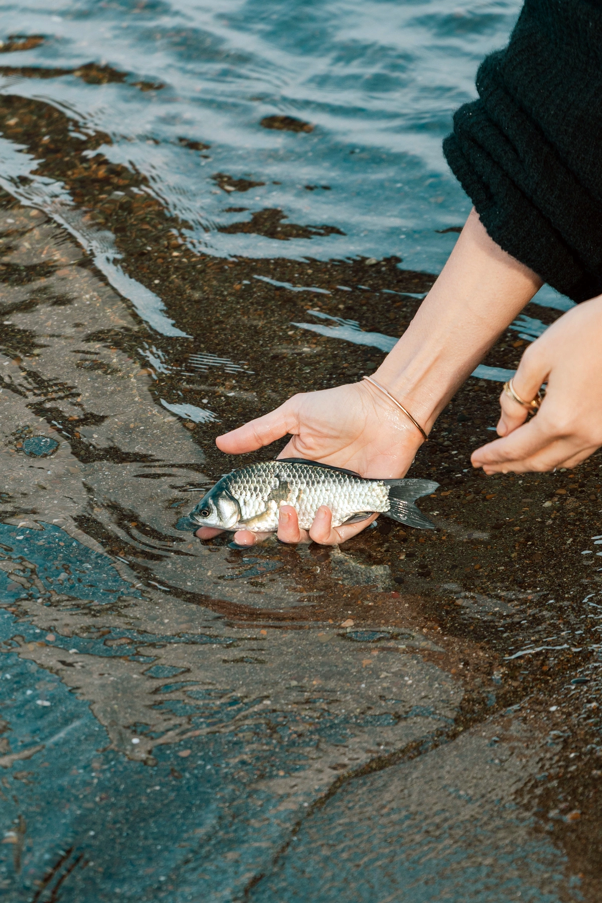 Leyla Əliyeva Mingəçevirdə ekoloji aksiyalarda iştirak etdi (FOTO)