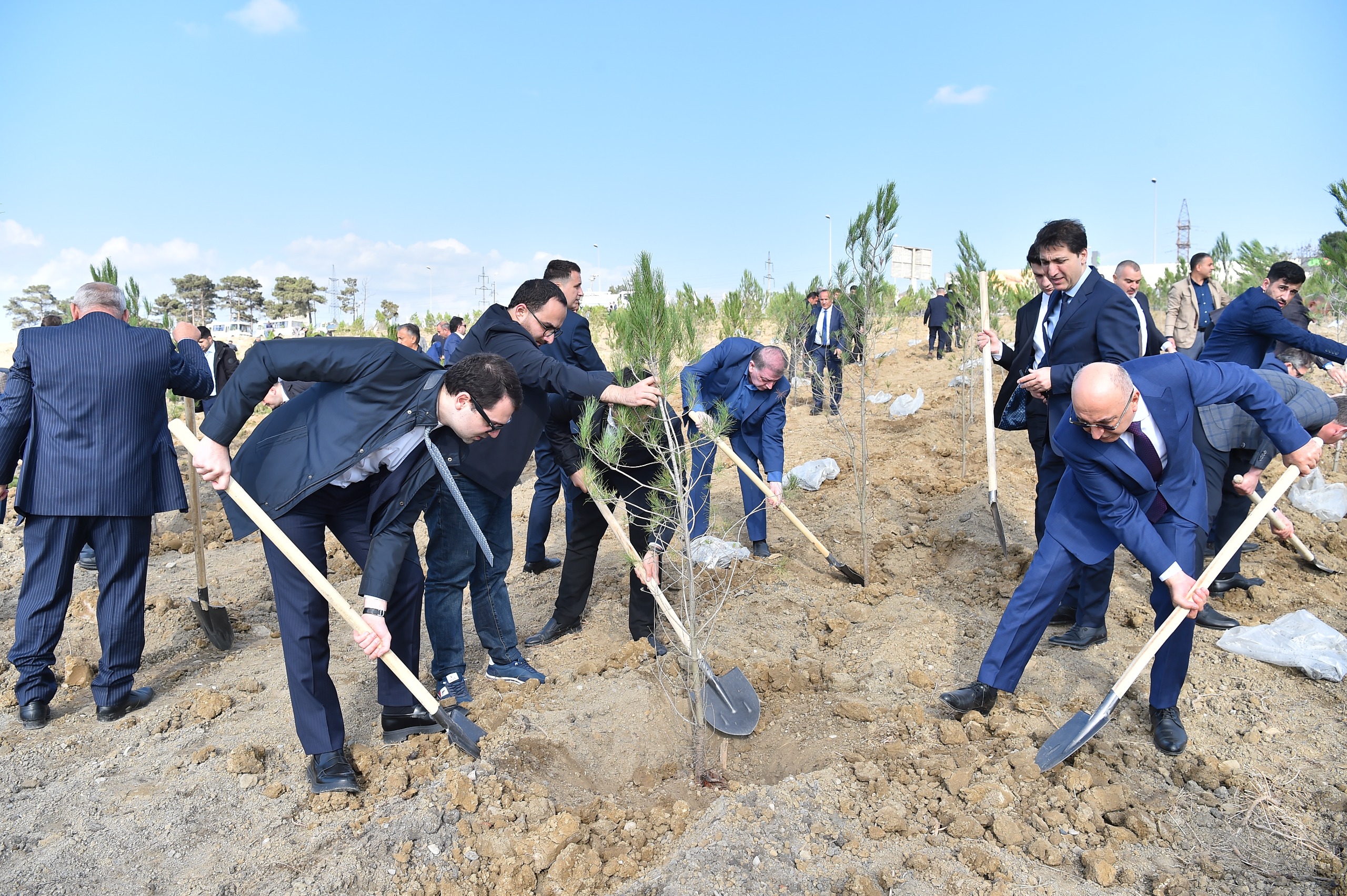 ADSEA Zəfər Günü münasibətilə ağacəkmə aksiyası təşkil etdi (FOTO)
