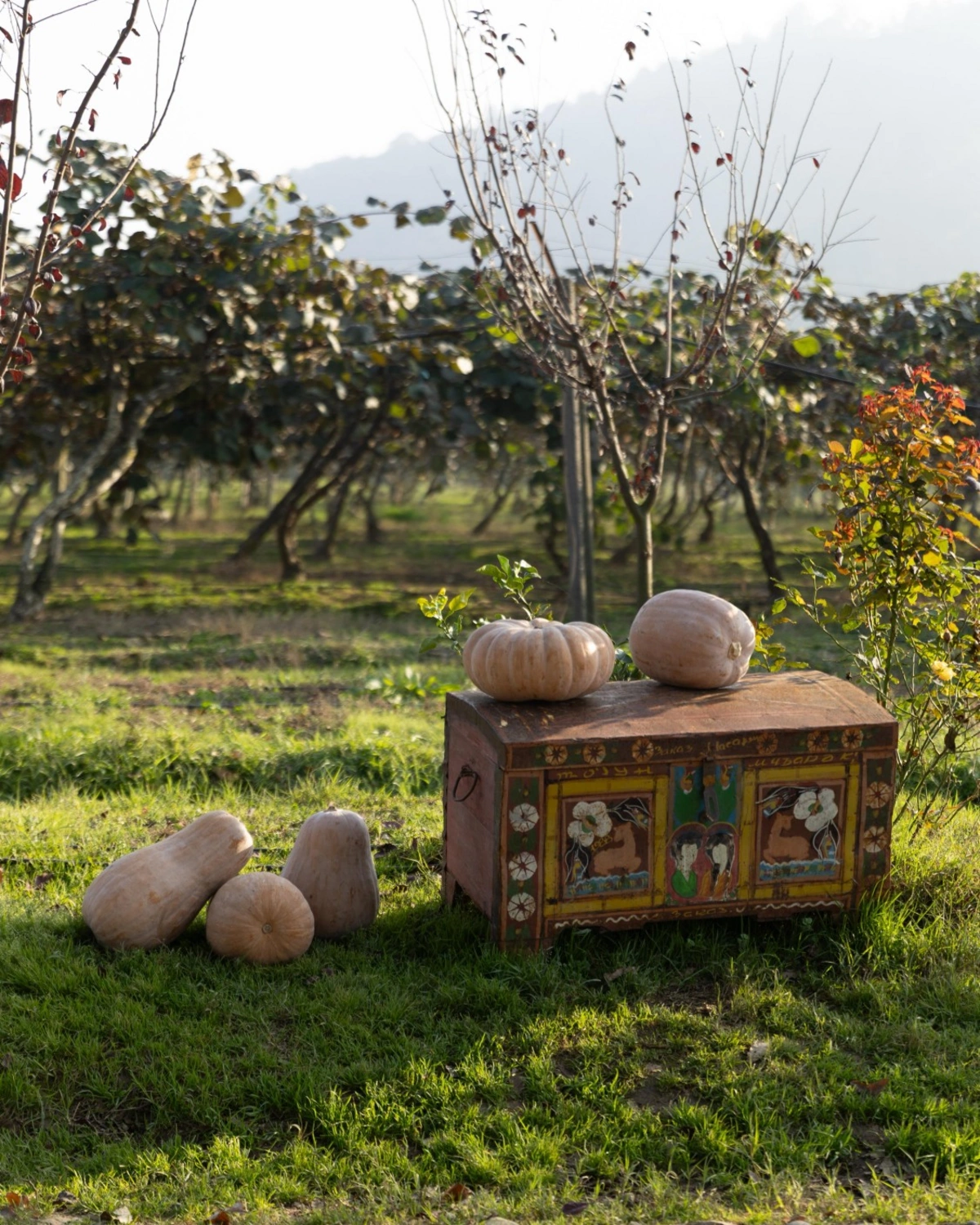 Leyla Əliyeva, Arzu Əliyeva və Alena Əliyeva Lənkəranda fermer təsərrüfatı ilə tanış oldu (FOTO)